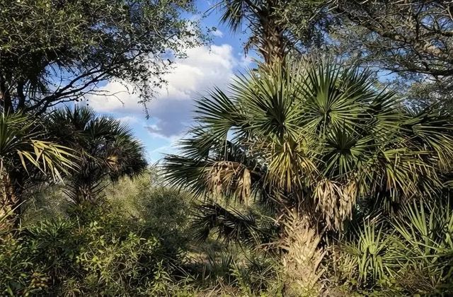 2 of 5 - 0 Nw 294th, Okeechobee, FL