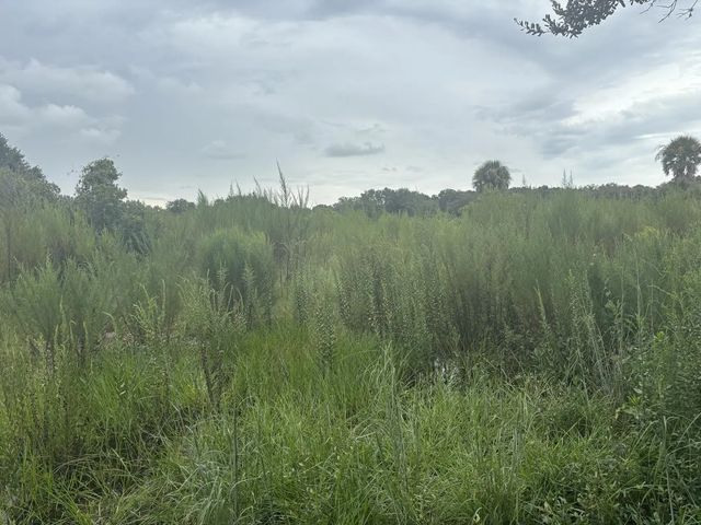 2 of 3 - 0 294th Street, Okeechobee, FL