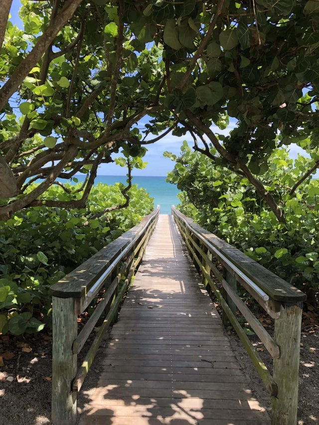 Photo of Listing #R11136898