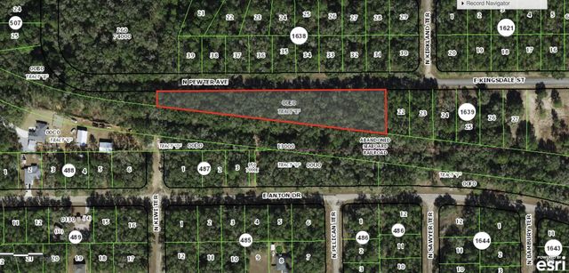 2 of 3 - 182 E Kingsdale Street, Citrus Springs, FL