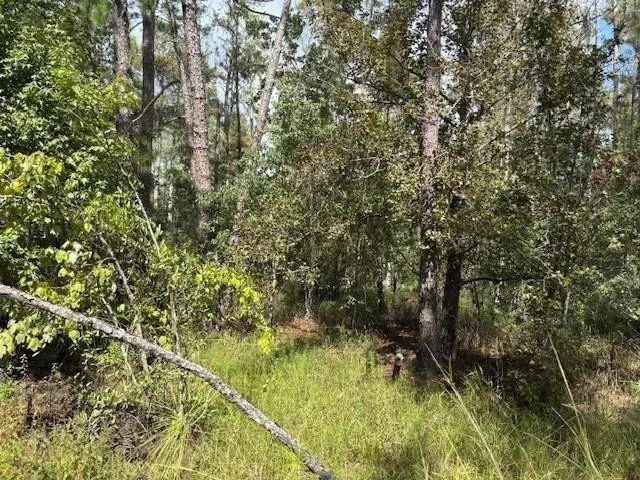 0 County Rd 54, Kathleen