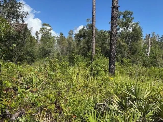 0 County Rd 54, Kathleen