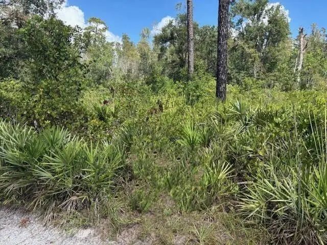2 of 3 - 0 County Rd 54, Kathleen, FL
