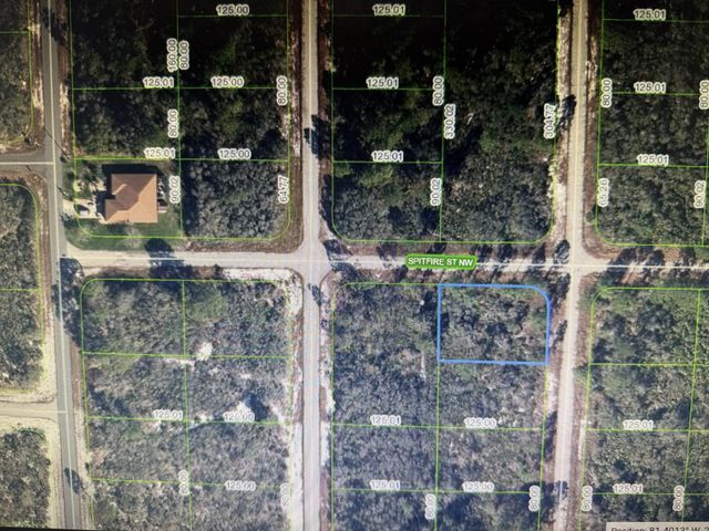2 of 2 - 314 Nw Spitfire Street Nw, Lake Placid, FL