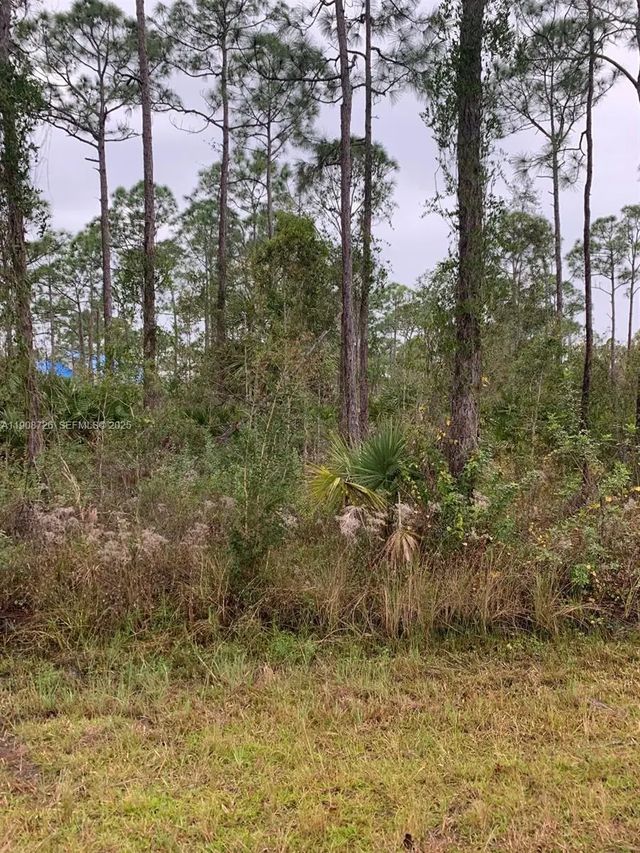 28338 Calais Avenue, Punta Gorda