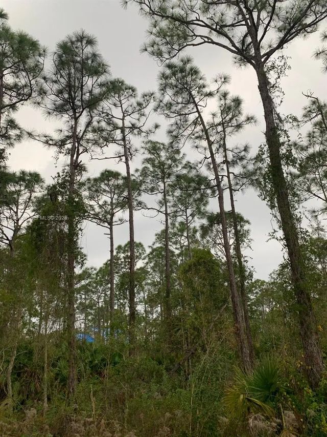 3 of 4 - 28338 Calais Avenue, Punta Gorda, FL