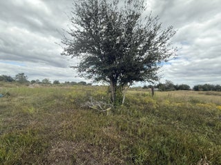 Photo of Listing #R11138121