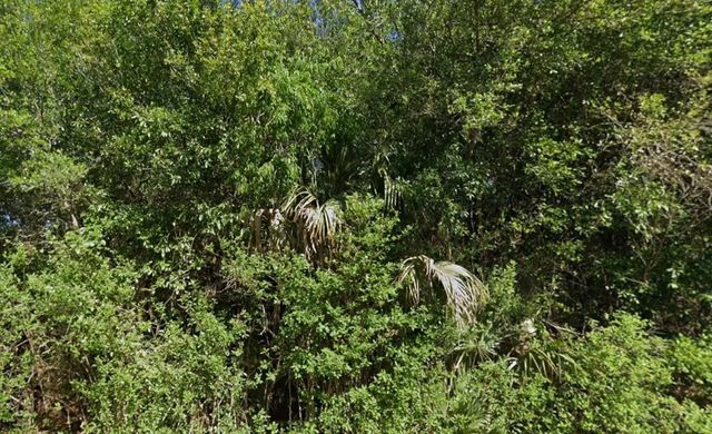 4 of 7 - 4702 Vera Avenue, Lehigh Acres, FL