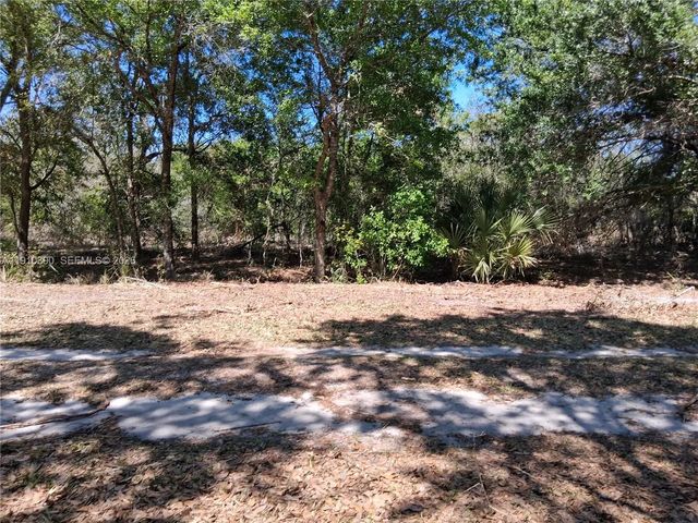 2822 W Yepremian Road, Avon Park