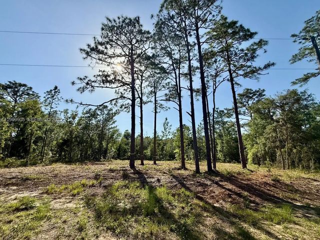 2 of 6 - 0 Nw 157th Avenue, Williston, FL