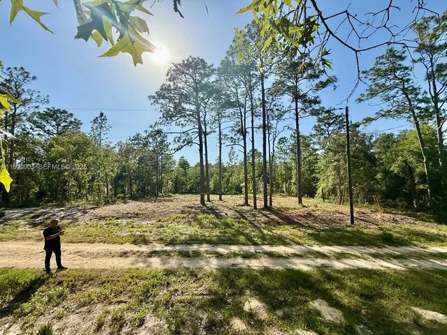 3 of 6 - 0 Nw 157th Avenue, Williston, FL