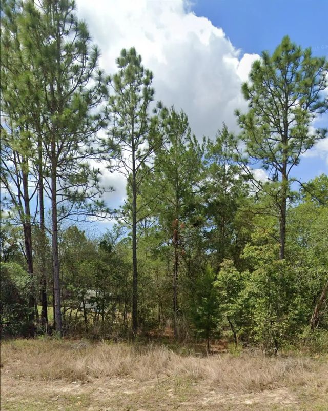 2 of 3 - 3808 W Indian Rock Place, Citrus Springs, FL