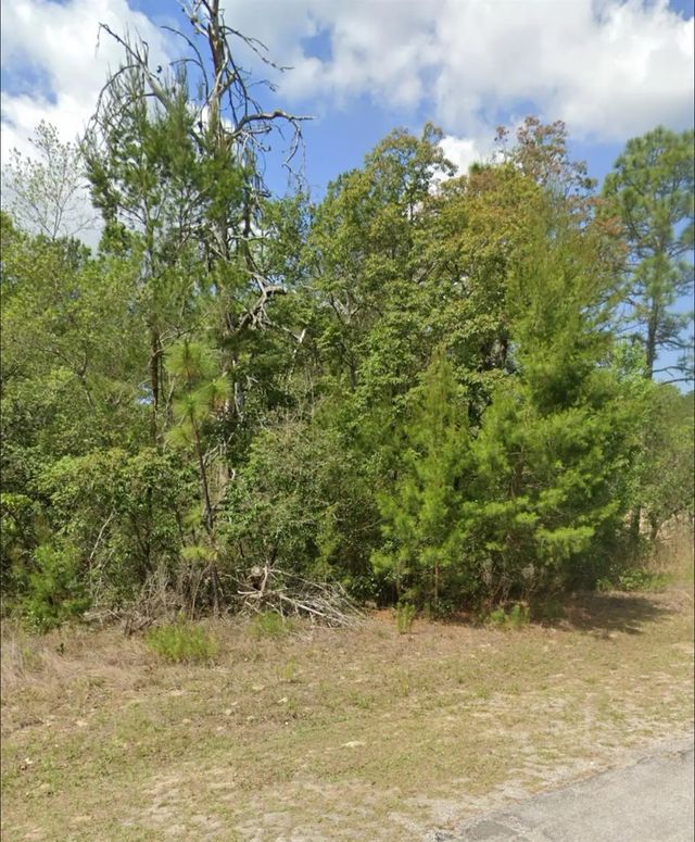 3 of 3 - 3808 W Indian Rock Place, Citrus Springs, FL