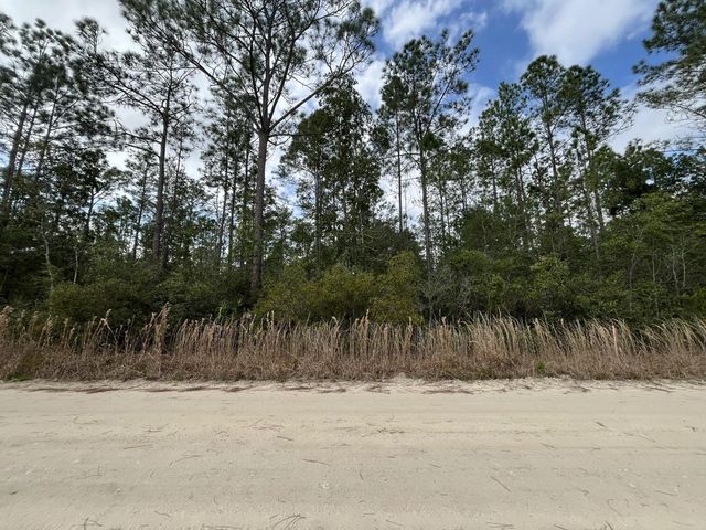 2 of 13 - 215 Royal Avenue, Interlachen, FL