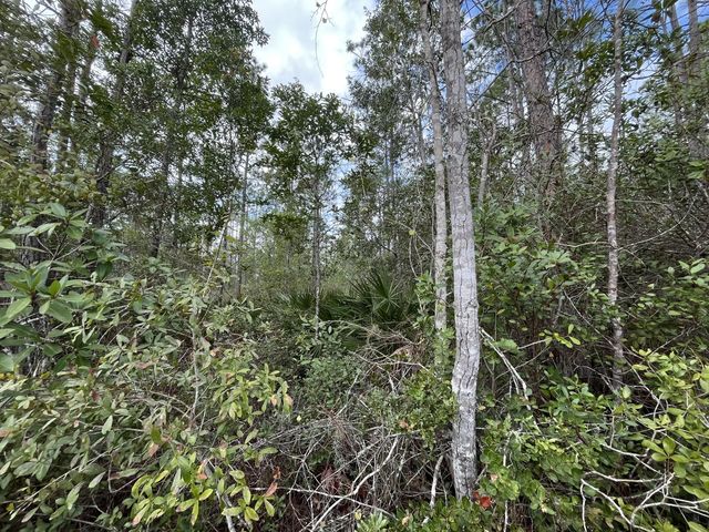 5 of 13 - 215 Royal Avenue, Interlachen, FL
