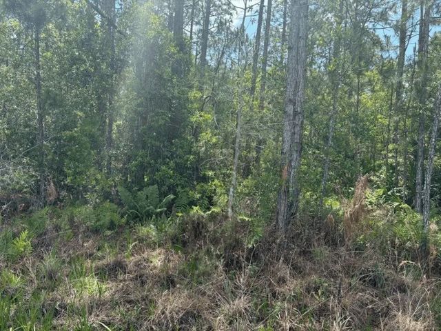 2 of 3 - 0 Holopaw Groves Road, St. Cloud, FL