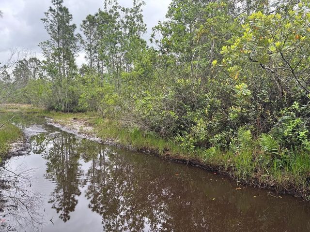 2 of 3 - 0 Holopaw Groves Road, St. Cloud, FL