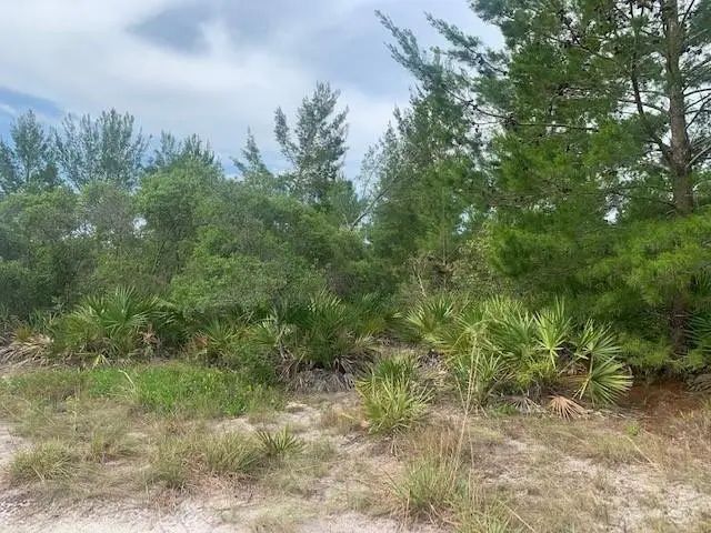 2 of 4 - 0 Holopaw Groves Road, St. Cloud, FL