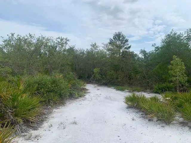 3 of 4 - 0 Holopaw Groves Road, St. Cloud, FL