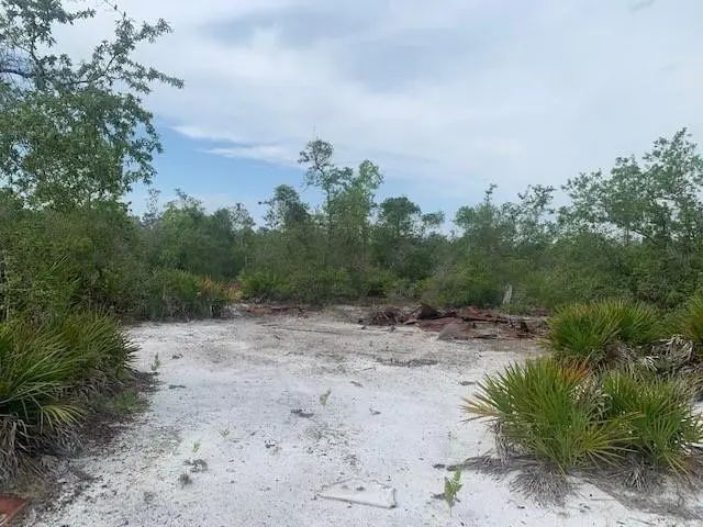 4 of 4 - 0 Holopaw Groves Road, St. Cloud, FL