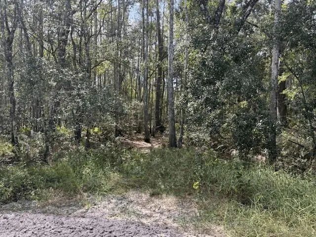 0 County Rd 54, Kathleen