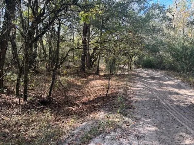 3 of 4 - 0 County Rd 54, Kathleen, FL