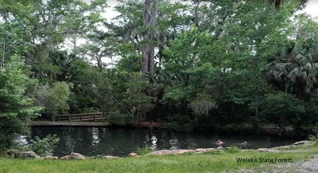 2 of 5 - 175 Park Avenue, Interlachen, FL