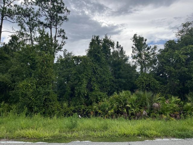 6883 St Johns Avenue, Palatka