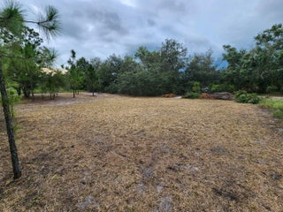 Photo of Listing #F10537897