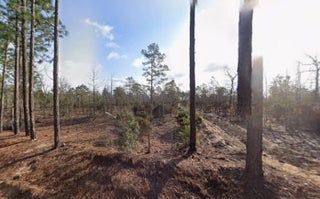 Photo of Listing #R11142361