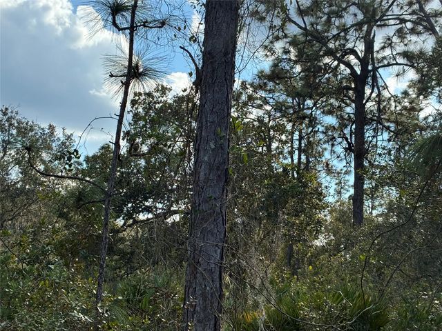 Lot 21 & 22 Plumosa Drive, Indian Lake Estates
