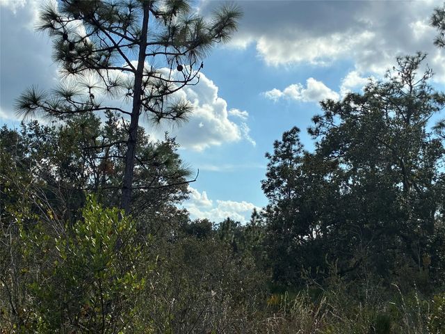 2 of 3 - Lot 21 & 22 Plumosa Drive, Indian Lake Estates, FL