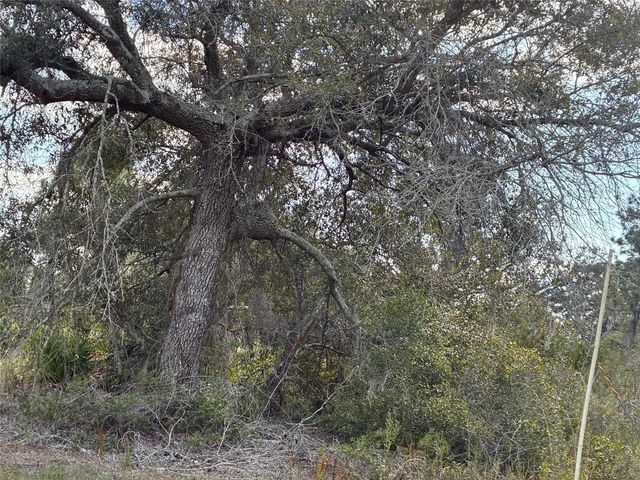 3 of 3 - Lot 21 & 22 Plumosa Drive, Indian Lake Estates, FL