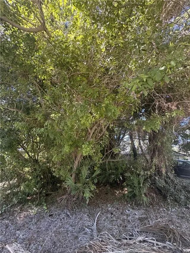 1115 15th Avenue Sw, Vero Beach