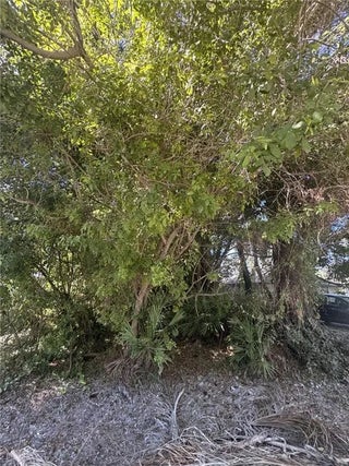 Photo of Listing #R11143374