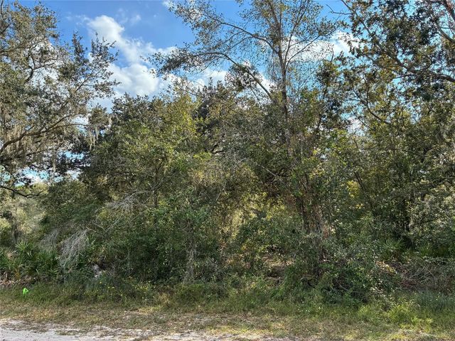 2521 Plumosa Drive, Indian Lake Estates