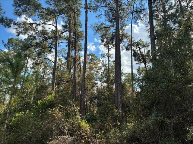 Lot 15 Park Avenue, Indian Lake Estates