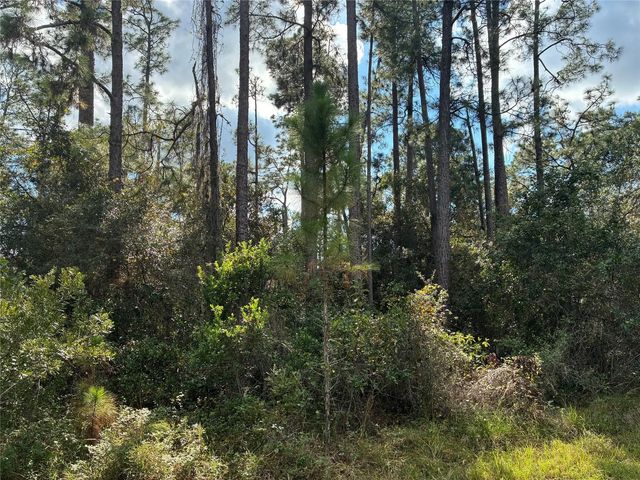 2 of 4 - Lot 15 Park Avenue, Indian Lake Estates, FL