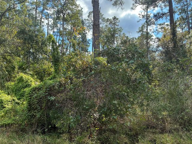 4 of 4 - Lot 15 Park Avenue, Indian Lake Estates, FL