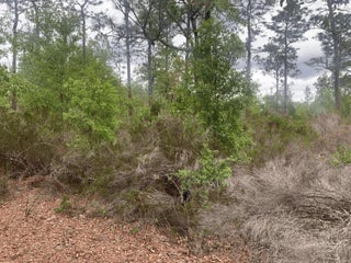 Photo of Listing #F10538774