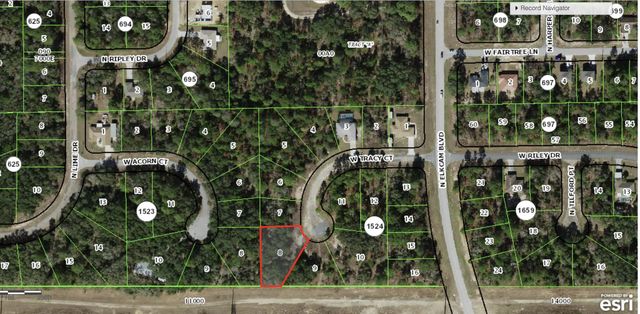 2 of 2 - 2770 W Tracy Court, Citrus Springs, FL