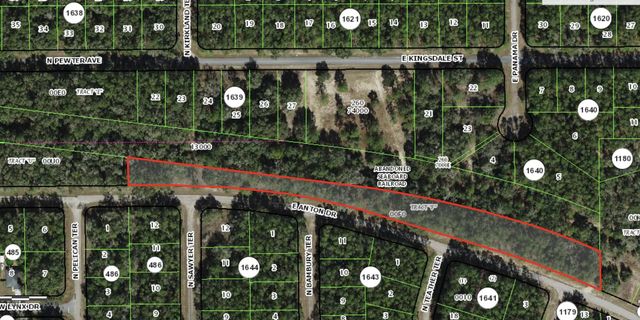 0 E Anton Drive, Citrus Springs