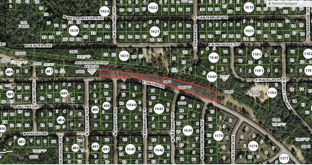 2 of 2 - 0 E Anton Drive, Citrus Springs, FL