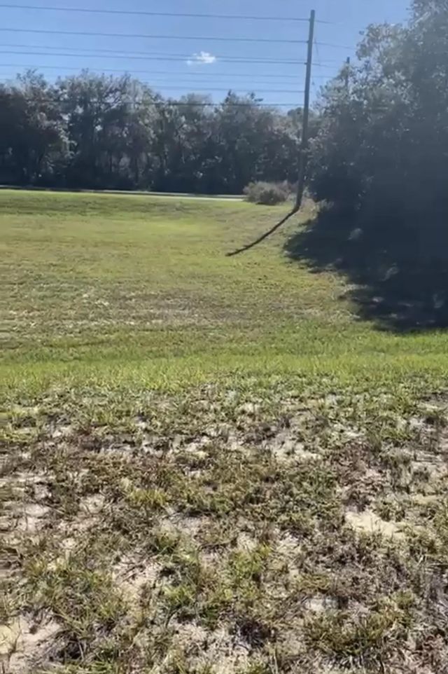 4017 Sw 133rd Loop, Ocala