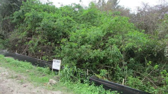 16750 Sw Conners Highway, Okeechobee