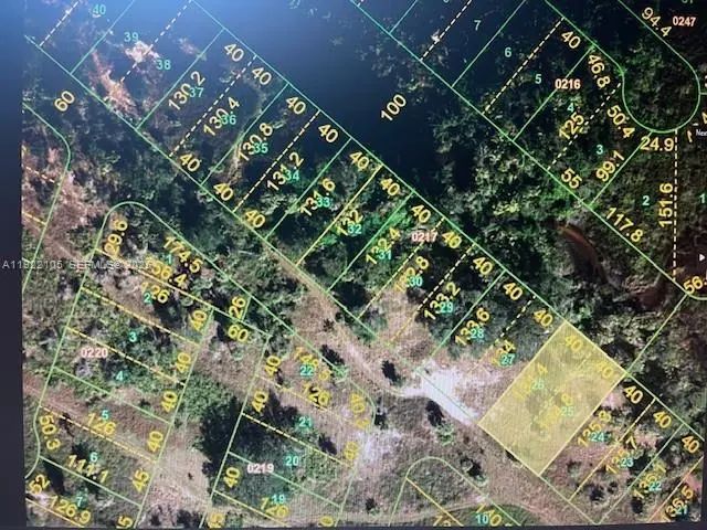 N/A, Punta Gorda