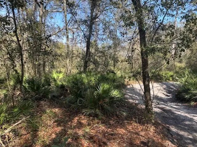 0 County Rd 54, Kathleen