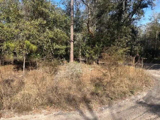 2 of 4 - 0 County Rd 54, Kathleen, FL