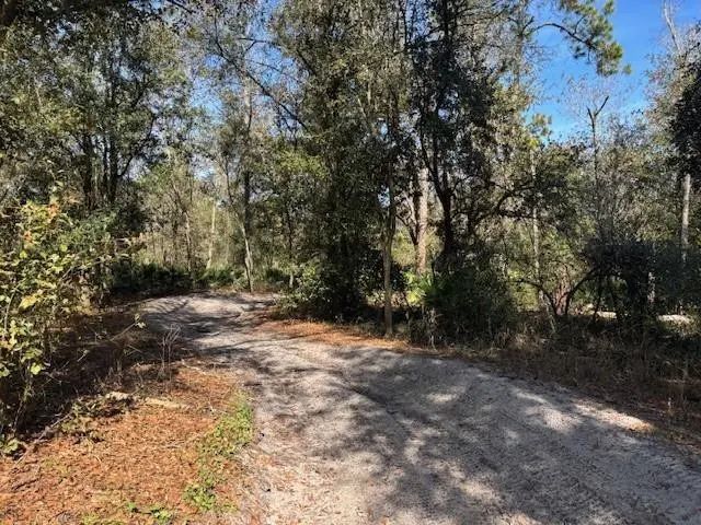 3 of 4 - 0 County Rd 54, Kathleen, FL