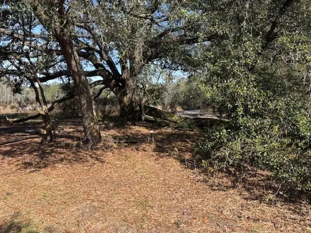0 County Rd 54, Kathleen